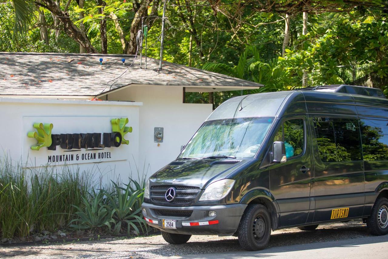 Pumilio Mountain & Ocean Hotel Jaco Exterior photo